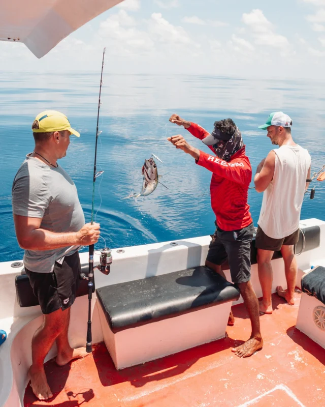 Hooked on the view. Stay for the rush.

#HeritanceAarah #LuxuryUnveiled #HeritanceExperience #Maldives #VisitMaldives #Maldives #MaldivesIslands #DiscoverMaldives #MaldivesResort #ExploreMaldives #OnlyMaldives