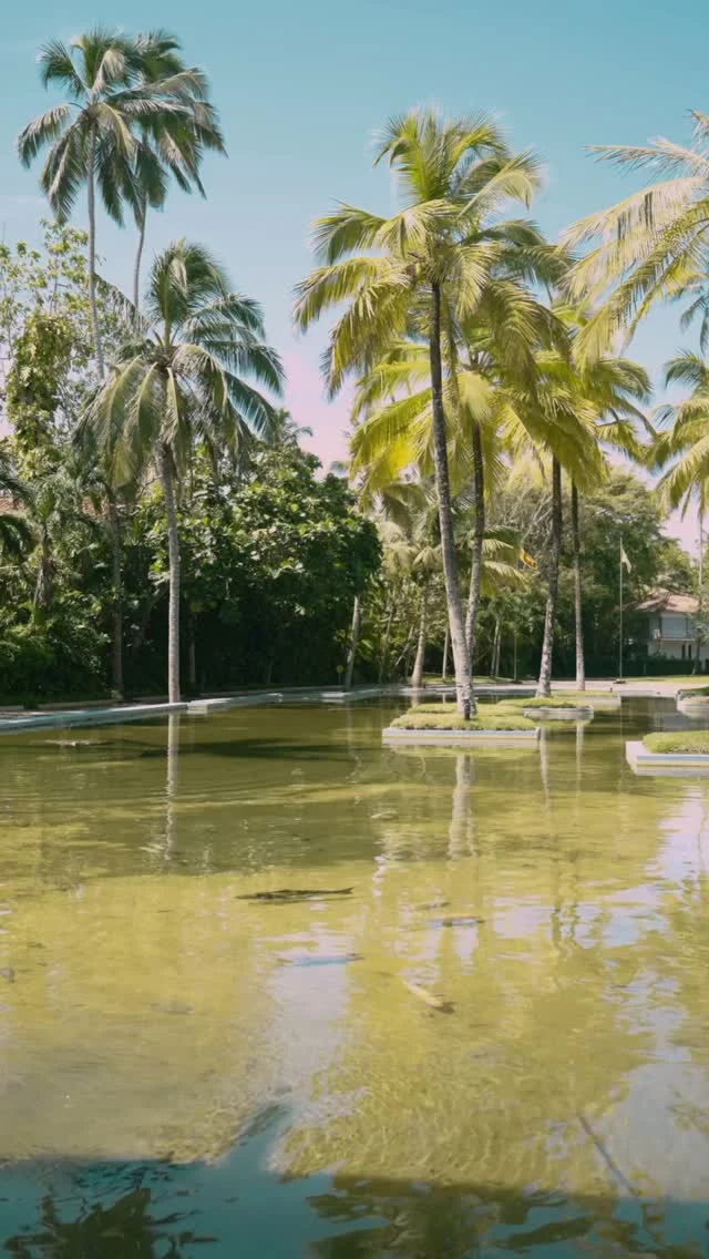 As you step into Heritance Ahungalla, tall palms sway above and the still pond mirrors the sky below. It's a gentle welcome from nature itself, the perfect stretch for an evening stroll, where lush greenery meets the ocean breeze.

#HeritanceAhungalla #HeritanceHotelsandResorts #TravelSrilanka #VisitSriLanka #Ahungalla #BestBeachHotels