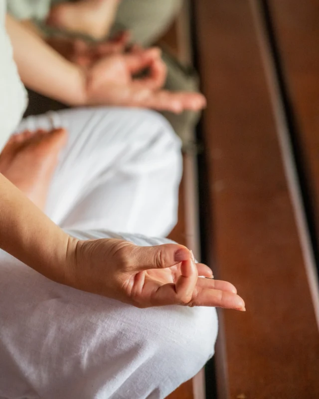 A calm mind is the foundation of a healthy life. Studies show that regular meditation not only reduces stress but also supports immune function, lowers blood pressure, and improves emotional well-being. Stillness truly heals from within.

#HeritanceAyurveda #HeritanceHotelsandResorts #Beruwala #WellnessResort #WellnessGetaway #WellnessHotel