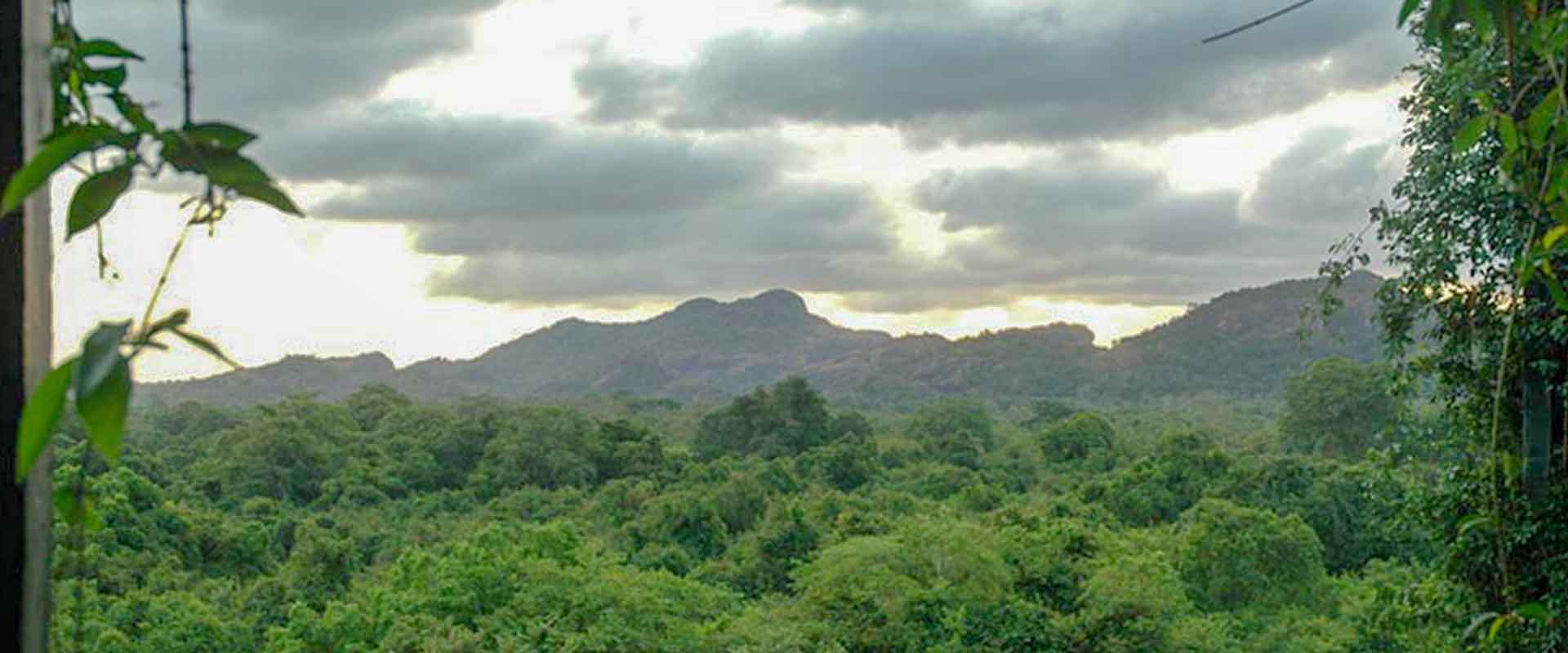 Landscape of Kandalama Rock on a cloudy day