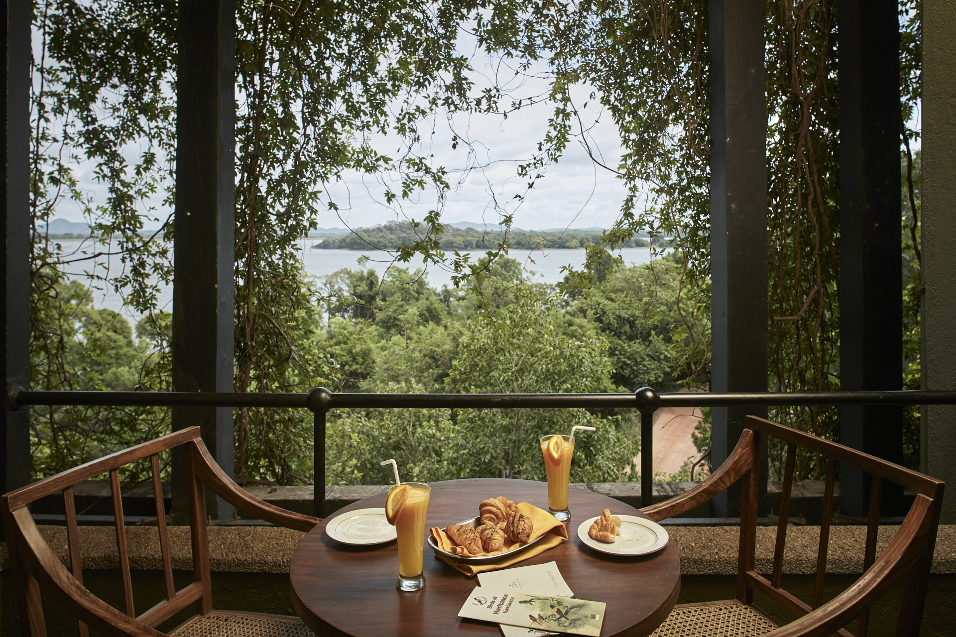 Panoramic Balcony view at Heritance Kandalama with snacks