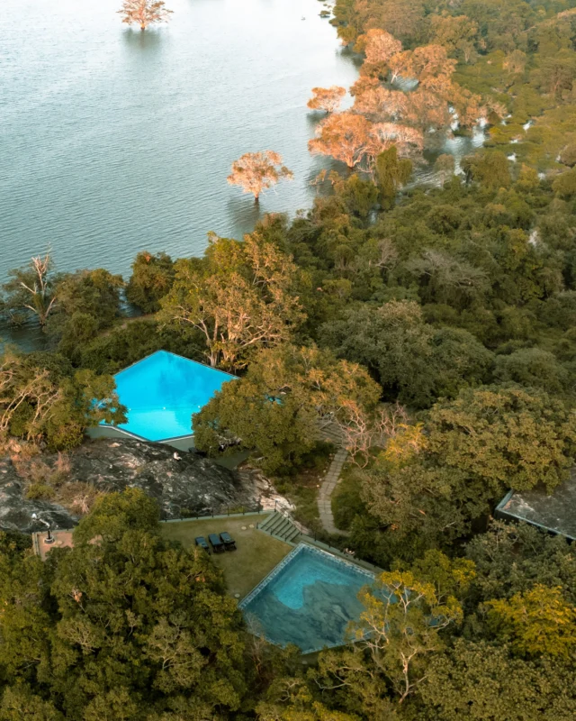 Did you know there are three unique pools to discover at Heritance Kandalama? Two are located in the Sigiriya wing; one with panoramic views of Kandalama Lake, the other designed around natural rock formations. The third, found in the Dambulla wing, offers its own peaceful charm. Each one invites you to unwind in nature’s embrace.

#HeritanceHotelsandResorts #HeritanceKandalama #NatureWalk #KandalamaLake #VisitSriLanka #TravelSriLanka #SrilankaTrip #LakeViews