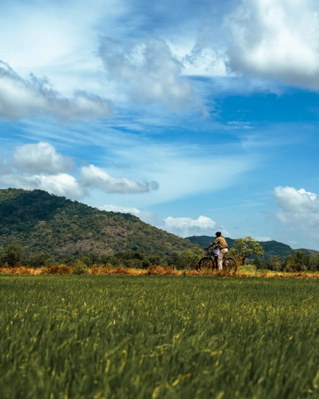 Cycle through quiet lanes and fields with one of our naturalists. You’ll pass rice paddies, home gardens and the daily rhythms of village life, an authentic glimpse into the heart of the island.

#HeritanceHotelsandResorts #HeritanceKandalama #NatureRetreat