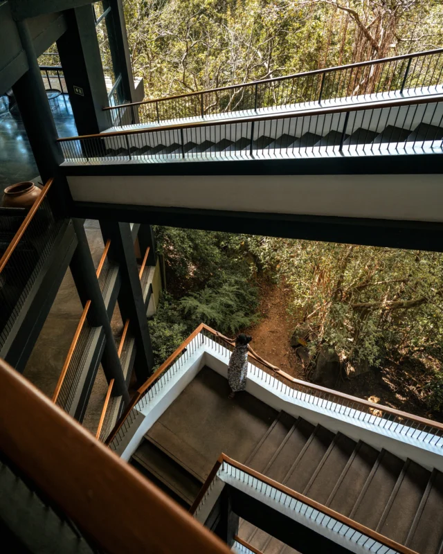 Deshamanya Geoffrey Bawa’s architectural language comes to life in every line, void and form of our property. Open-air corridors, geometric precision and material restraint all come together to create harmony between structure and setting.

#HeritanceHotelsandResorts #HeritanceKandalama #VisitSriLanka #TravelSriLanka #Kandalama #GeoffreyBawa #GeoffreyBawaArchitecture