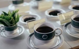 Tea tasting in Sri Lanka