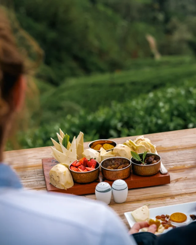 Enjoy an evening snack as you take in the beauty of the tea covered mountains. With breathtaking views and the gentle chill of the hill country air, each bite feels like part of the landscape itself.

#HeritanceHotelsandResorts #HeritanceTeaFactory #besthotelsintheworld #besthotelsinsrilanka #srilankatravel #travelsrilanka